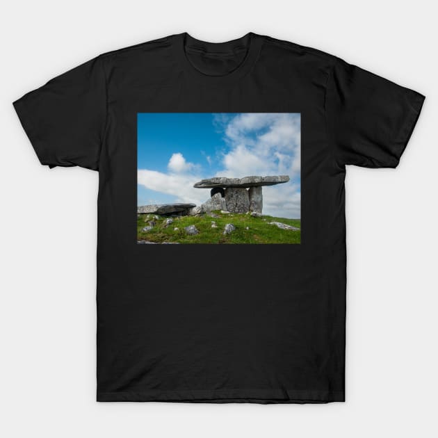 Ancient Irish Monument T-Shirt by TTDean